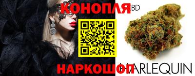 дмт Беслан