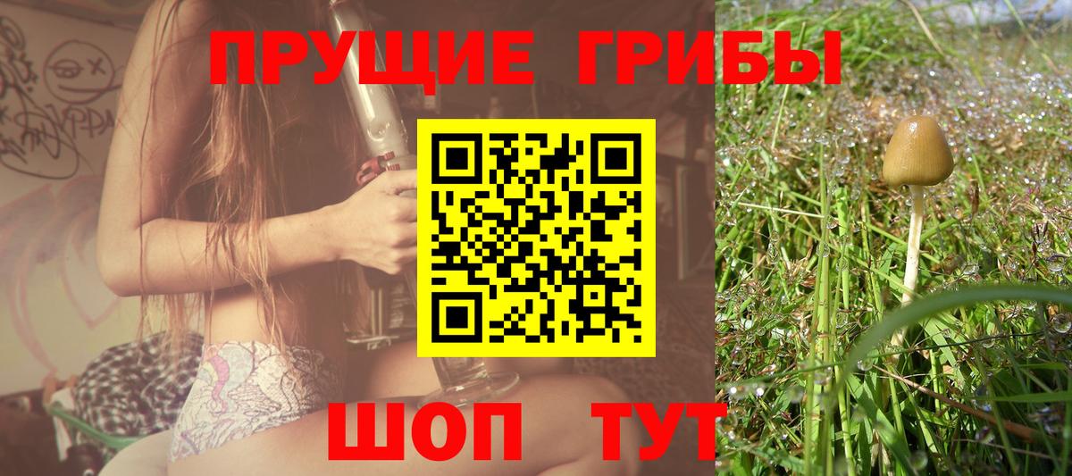 Карталы  Псилоцибиновые грибы MAGIC MUSHROOMS  Вход с VPN 