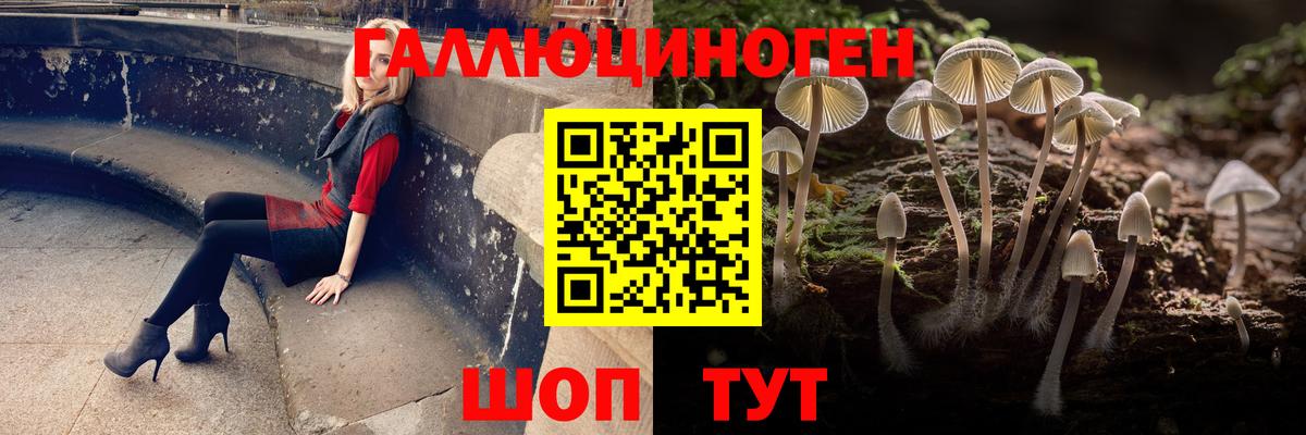 Галлюциногенные грибы мицелий Карталы